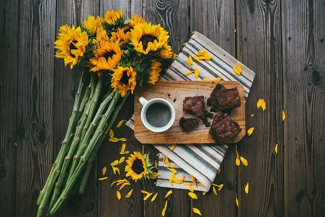 Tipy pro zdobení a podávání brownies, které ohromí hosty