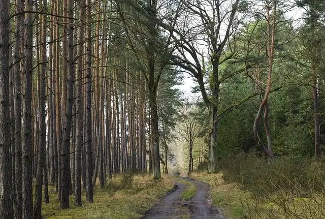 Způsob přípravy: Tipy na bezpečné vaření a pečení