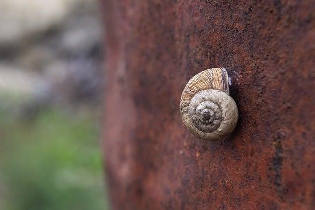 Nejčastější zdroje oxidu siřičitého v potravinách