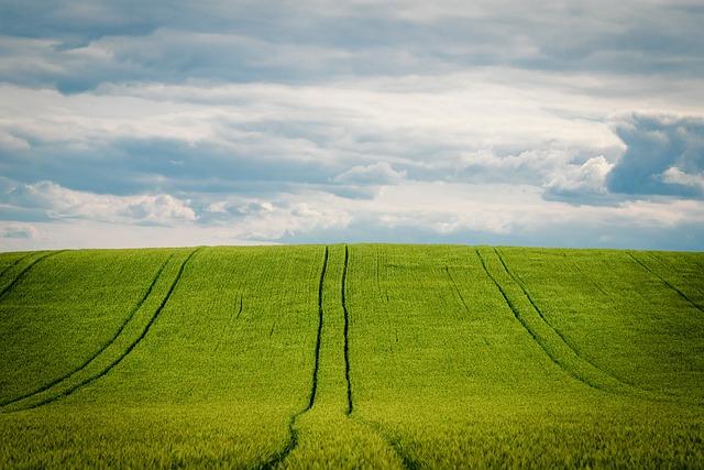 Celiak ječné zrno: Jak se léčit