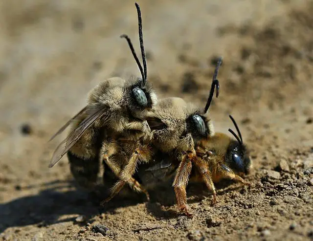 Tipy na párování s nápoji a přílohami