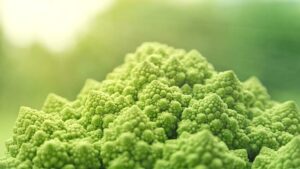 Veganské máslo: Jak si vyrobit vlastní zdravou náhradu