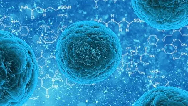 Nejlépe hodnocené obchody s bio potravinami pro mandarinky