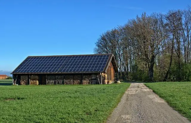 Alternativní zdroje živin pro bezlepkovou dietu