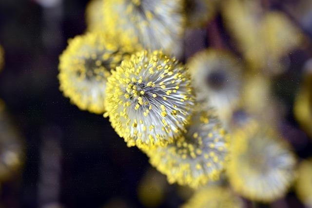 Alergie na potraviny: Jak je rozpoznat a řešit