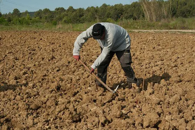 Efektivní komunikace s farmářem a kolegy na bio farmě