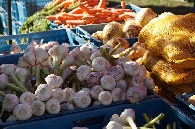 Výhody nakupování na farmářských trzích