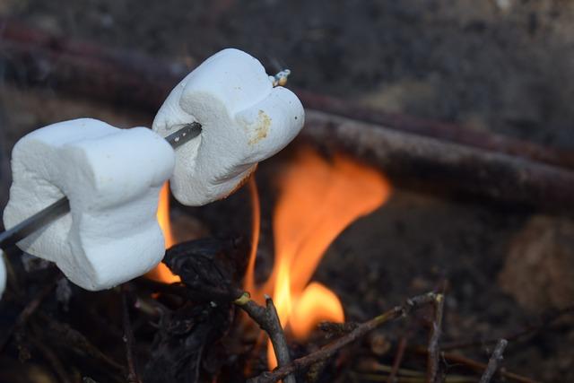 Jak správně připravit marshmallow bez chemie