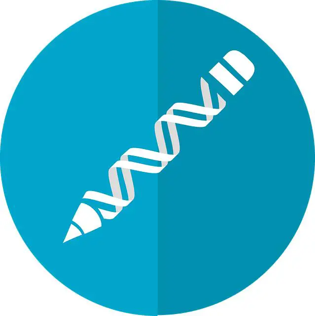 Genetické predispozice: Jaké je riziko v rodině?