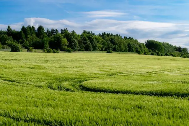 Pravidla pro ekologické pěstování a výrobu