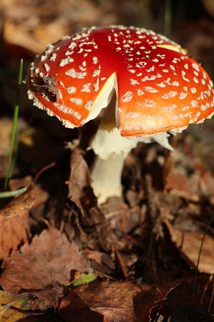 Rizika spojená s konzumací technické soli