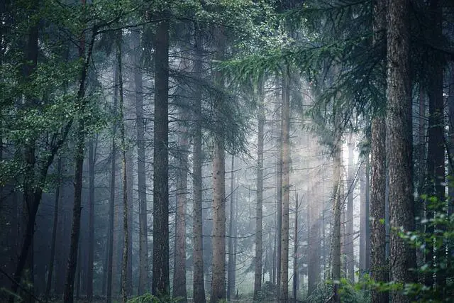 Jak efektivně využívat sluneční světlo a klimatické podmínky