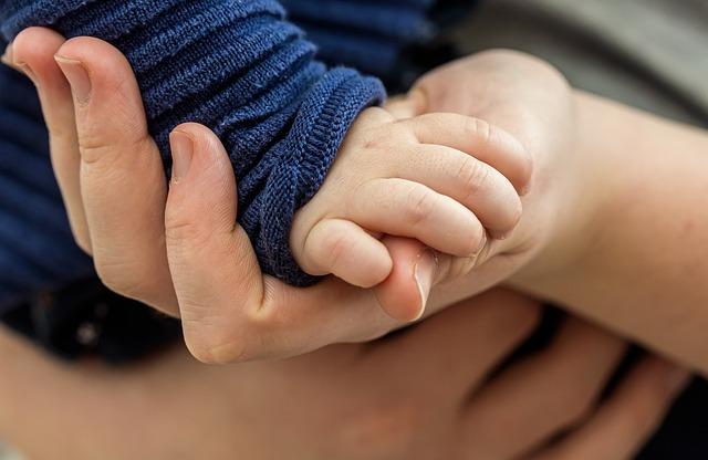 Finanční podpora a dotace při přechodu na ekologické farming