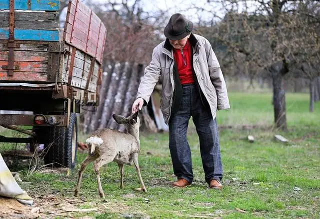 Jak vybrat správné jikry pro vaření