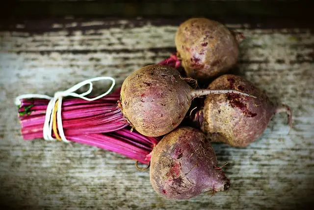 Domácí kečup z červené řepy: Recept na zdravou omáčku