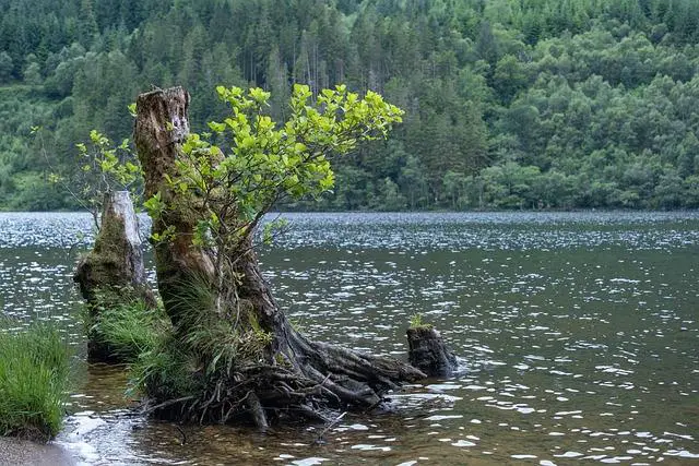 Jaké jsou hlavní skupiny Éček a co označují